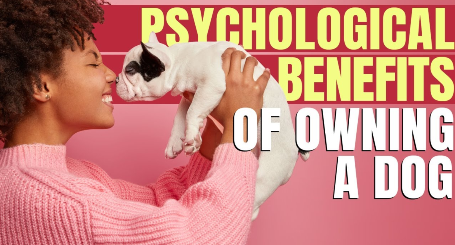 The Psychological Benefits of Owning a Pet