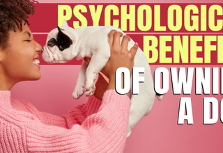 The Psychological Benefits of Owning a Pet